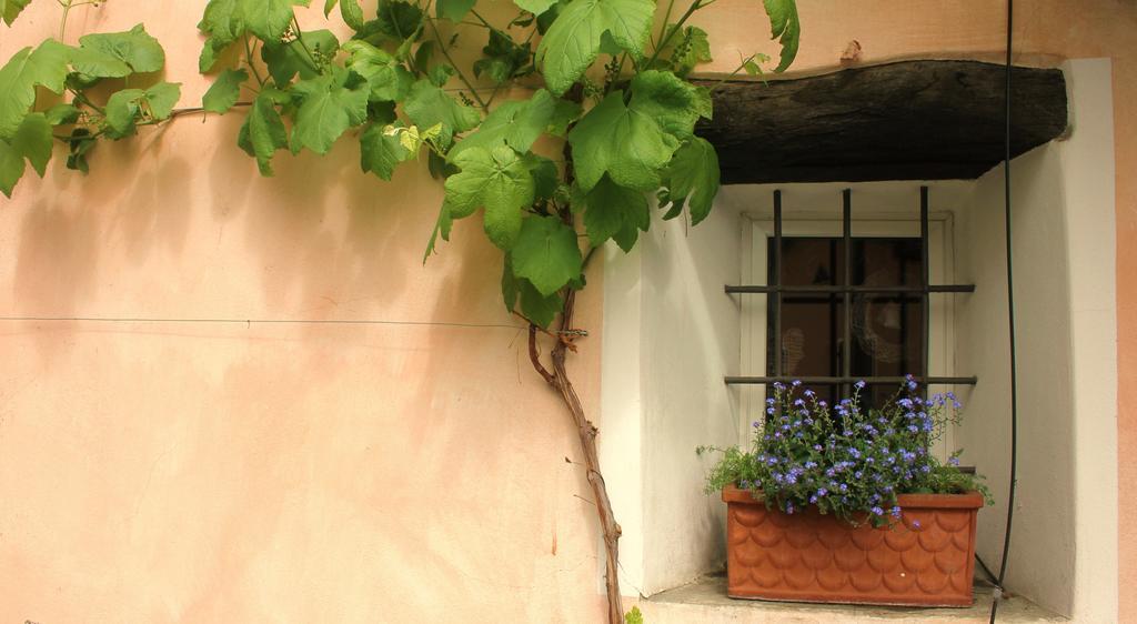 Casa Don Bosco Vila Locarno Quarto foto